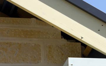 soffit repair Shapridge