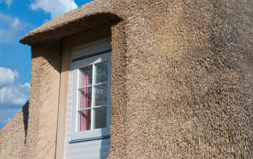 Shapridge thatch roof disadvantages